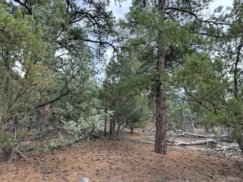 22 Cub Creek Rd, Mosca, CO 81146 photo 9