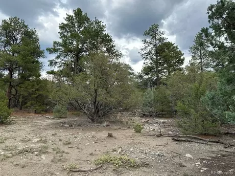 22 Cub Creek Rd, Mosca, CO 81146 photo 12