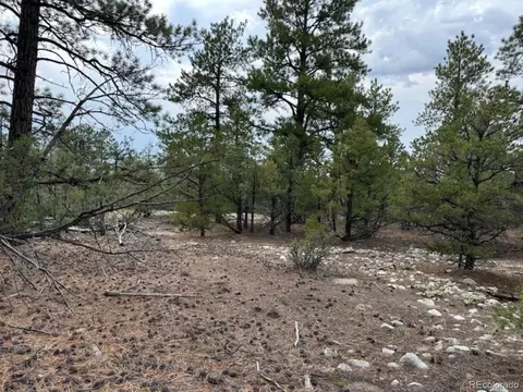 22 Cub Creek Rd, Mosca, CO 81146 photo 13