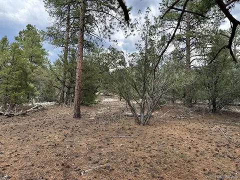22 Cub Creek Rd, Mosca, CO 81146 photo 7