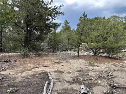 22 Cub Creek Rd, Mosca, CO 81146 photo 5
