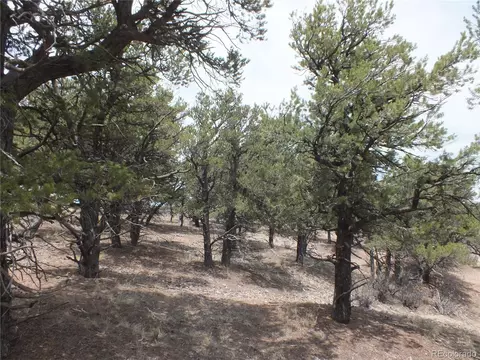 00 Platten Rd, Fort Garland, CO 81133