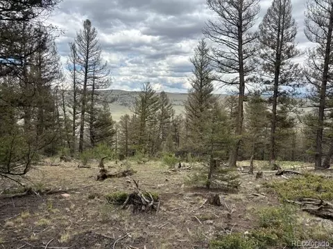 Middle Fork Vista, Fairplay, CO 80440