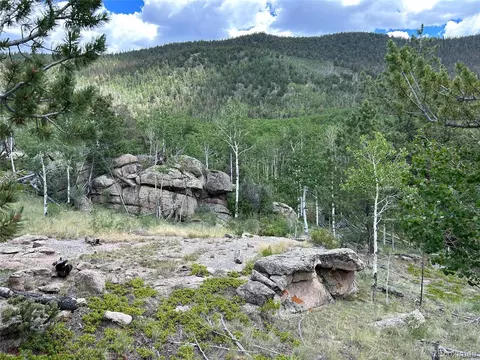 2942 County Road 333, Lake George, CO 80827