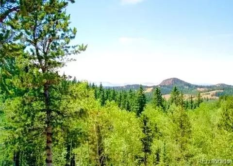111 Co 67, Cripple Creek, CO 80813