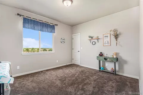 19142 County Road 7, Wiggins, CO 80654 photo 20
