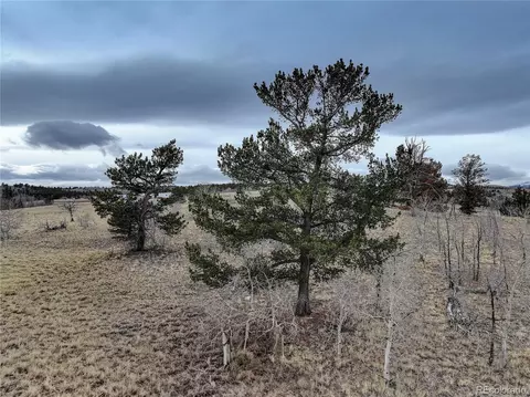 111 Antelope Way, Como, CO 80456 photo 23