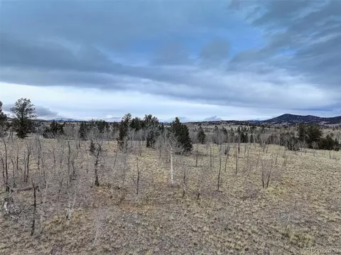 111 Antelope Way, Como, CO 80456 photo 21