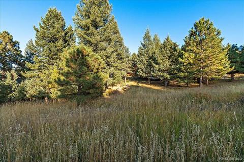 6034 Meadow Dr, Morrison, CO 80465 photo 36