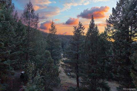6034 Meadow Dr, Morrison, CO 80465 photo 7