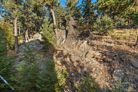 6034 Meadow Dr, Morrison, CO 80465 photo 37