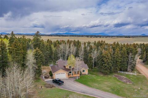 165 Joshua Rd, Divide, CO 80814 photo 36