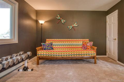 165 Joshua Rd, Divide, CO 80814 photo 33