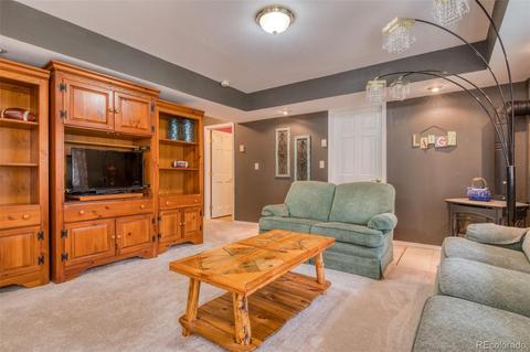 165 Joshua Rd, Divide, CO 80814 photo 28