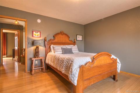 165 Joshua Rd, Divide, CO 80814 photo 22