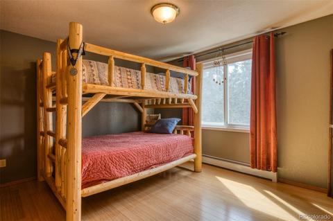 165 Joshua Rd, Divide, CO 80814 photo 25