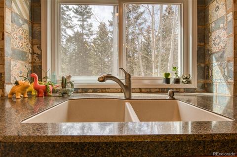 165 Joshua Rd, Divide, CO 80814 photo 12