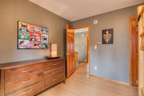 165 Joshua Rd, Divide, CO 80814 photo 26