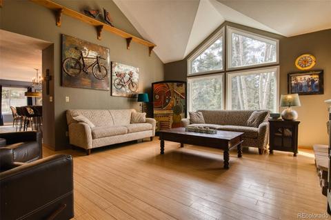 165 Joshua Rd, Divide, CO 80814 photo 6