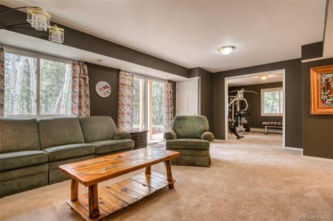 165 Joshua Rd, Divide, CO 80814 photo 29