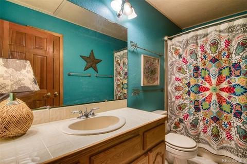 165 Joshua Rd, Divide, CO 80814 photo 24