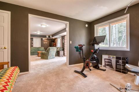 165 Joshua Rd, Divide, CO 80814 photo 32