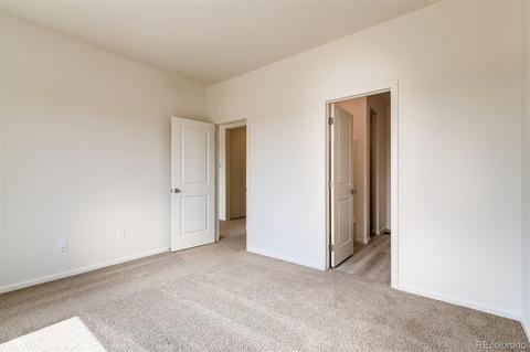 1089 Long Meadows St, Severance, CO 80550 photo 9