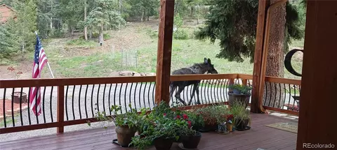 27652 Shadow Mountain Dr, Conifer, CO 80433 photo 41