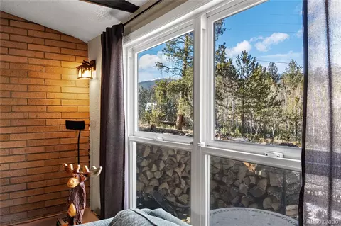 106 Elk Dr, Bailey, CO 80421 photo 9