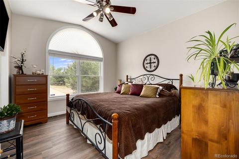 1253 Eclipse St, Watkins, CO 80137 photo 18