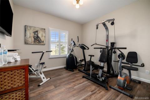 1253 Eclipse St, Watkins, CO 80137 photo 19