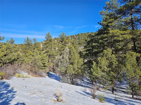 000 43rd Trl, Cotopaxi, CO 81223