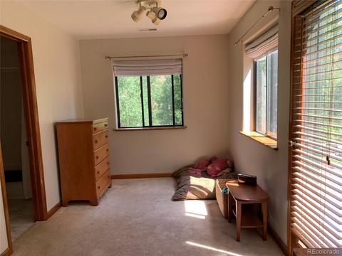 1006 N Pine Dr, Bailey, CO 80421 photo 15