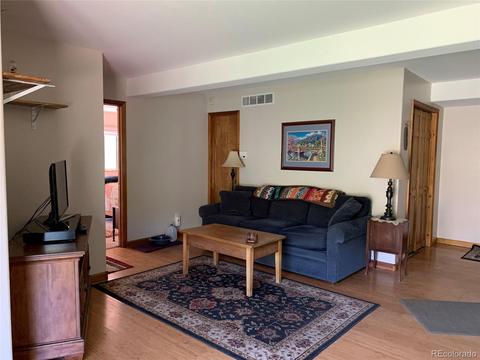 1006 N Pine Dr, Bailey, CO 80421 photo 9