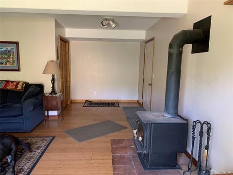 1006 N Pine Dr, Bailey, CO 80421 photo 10