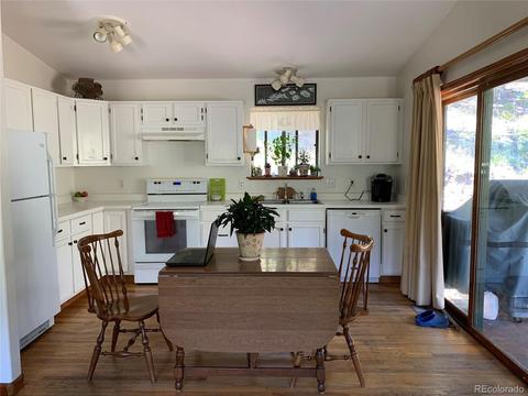 1006 N Pine Dr, Bailey, CO 80421 photo 5