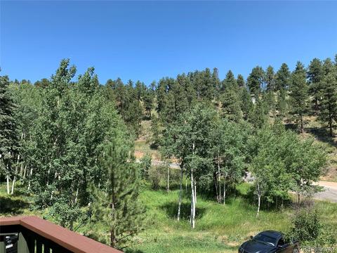 1006 N Pine Dr, Bailey, CO 80421 photo 24