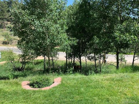 1006 N Pine Dr, Bailey, CO 80421 photo 26