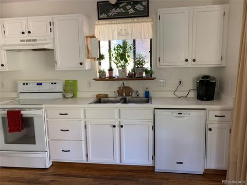 1006 N Pine Dr, Bailey, CO 80421 photo 6