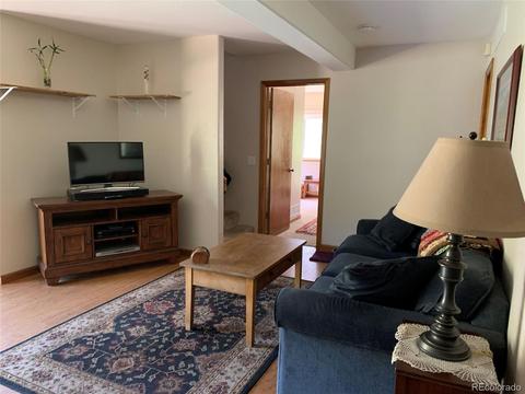 1006 N Pine Dr, Bailey, CO 80421 photo 8