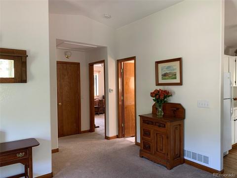 1006 N Pine Dr, Bailey, CO 80421 photo 12