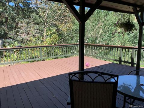 1006 N Pine Dr, Bailey, CO 80421 photo 28