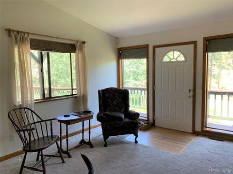 1006 N Pine Dr, Bailey, CO 80421 photo 3