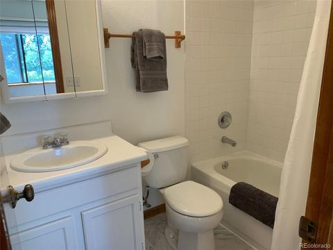 1006 N Pine Dr, Bailey, CO 80421 photo 16