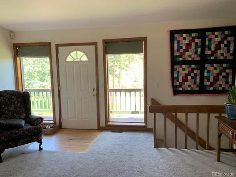 1006 N Pine Dr, Bailey, CO 80421 photo 4