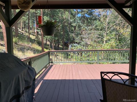 1006 N Pine Dr, Bailey, CO 80421 photo 27