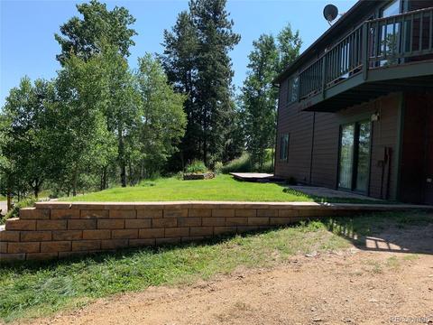 1006 N Pine Dr, Bailey, CO 80421 photo 22