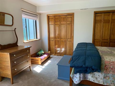 1006 N Pine Dr, Bailey, CO 80421 photo 14