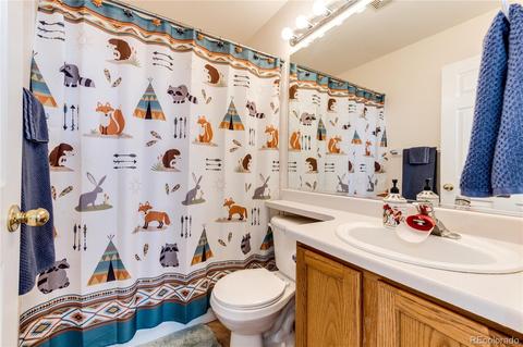 20293 E 40th Pl, Denver, CO 80249 photo 23