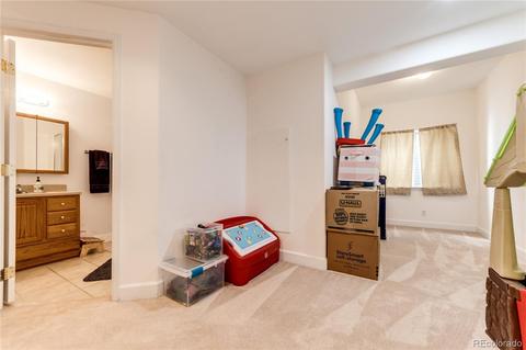 20293 E 40th Pl, Denver, CO 80249 photo 28